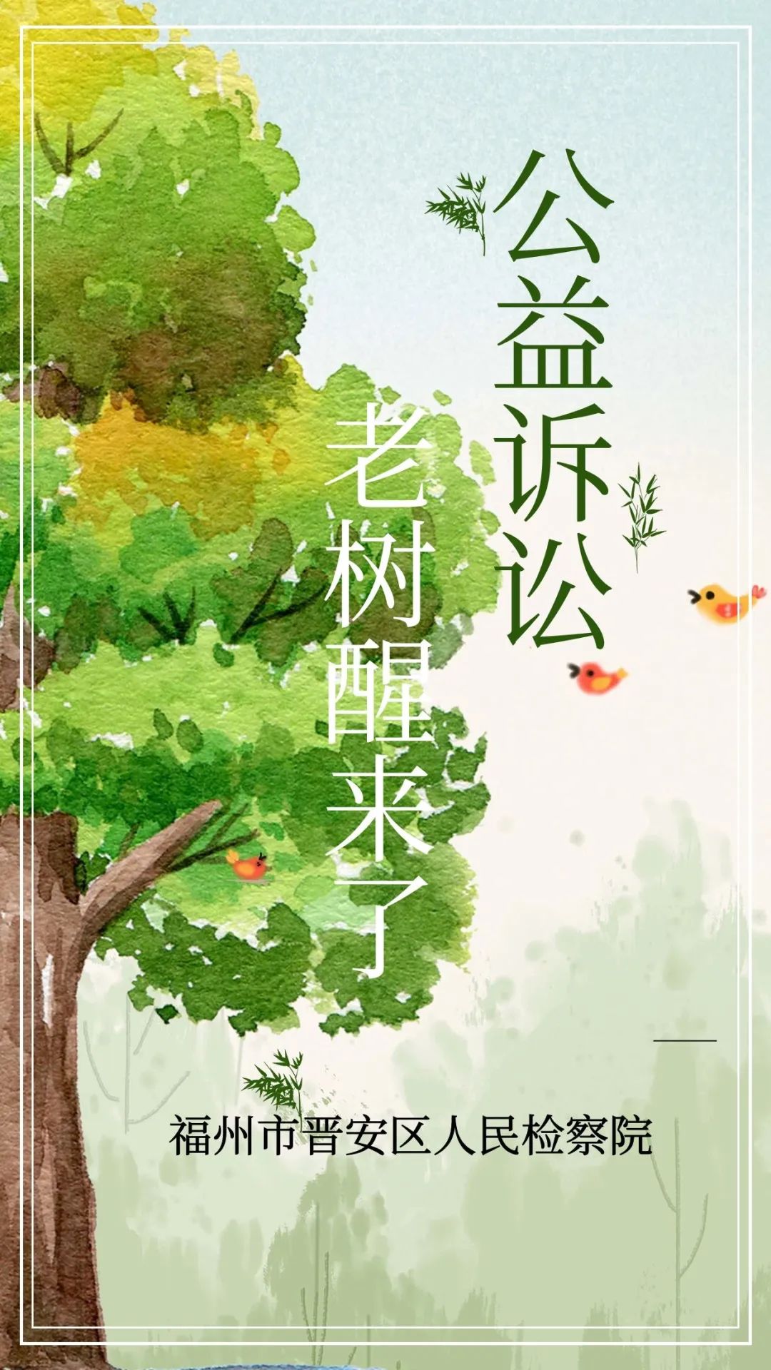 科技赋能公益诉讼 助千年罗汉松重焕生机