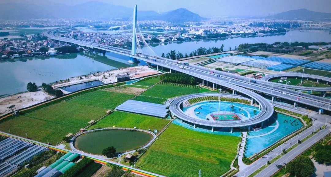 沙洲岛特大桥成网红打卡地,吸引众多游客探访