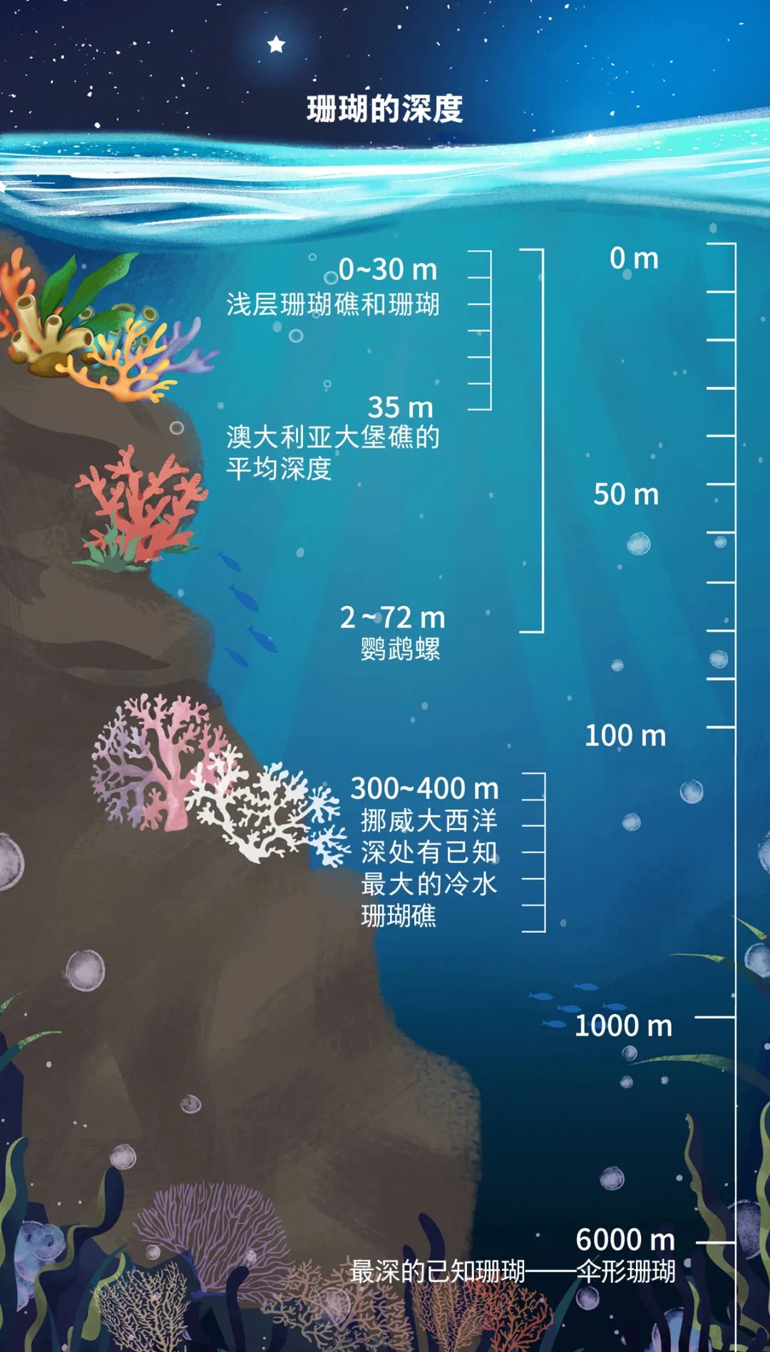 作为深海大洋中的独特地貌,海山孕育着独特的生态系统,被称为研究海洋