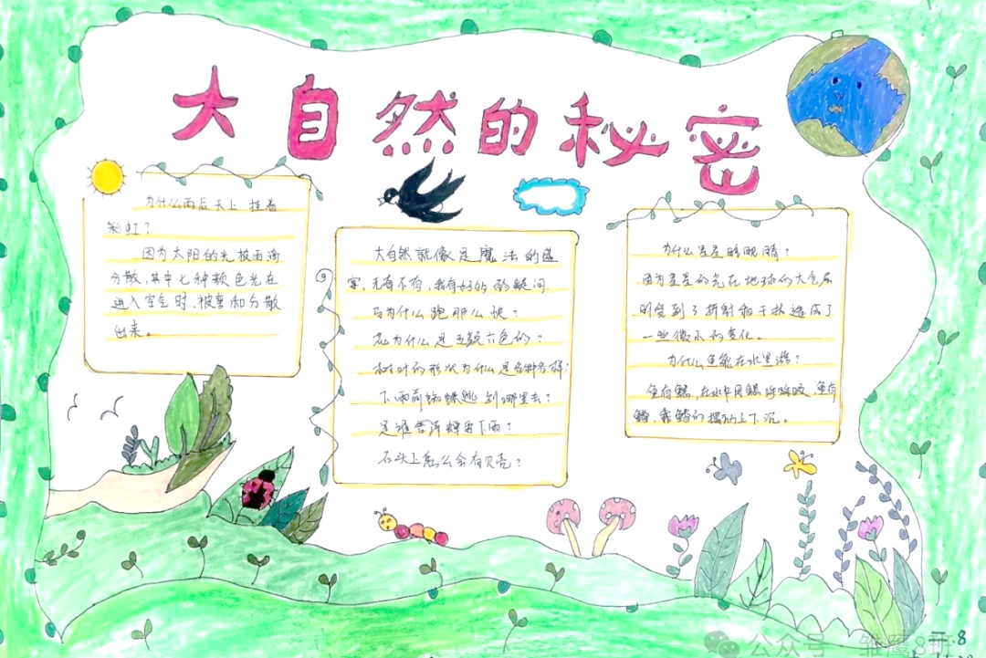 探究大自然的奥秘