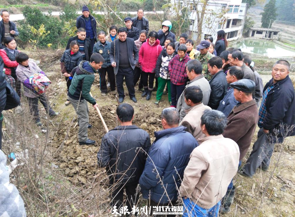 福泉金凤村"甜蜜产业"结硕果 村民过上"甜日子"