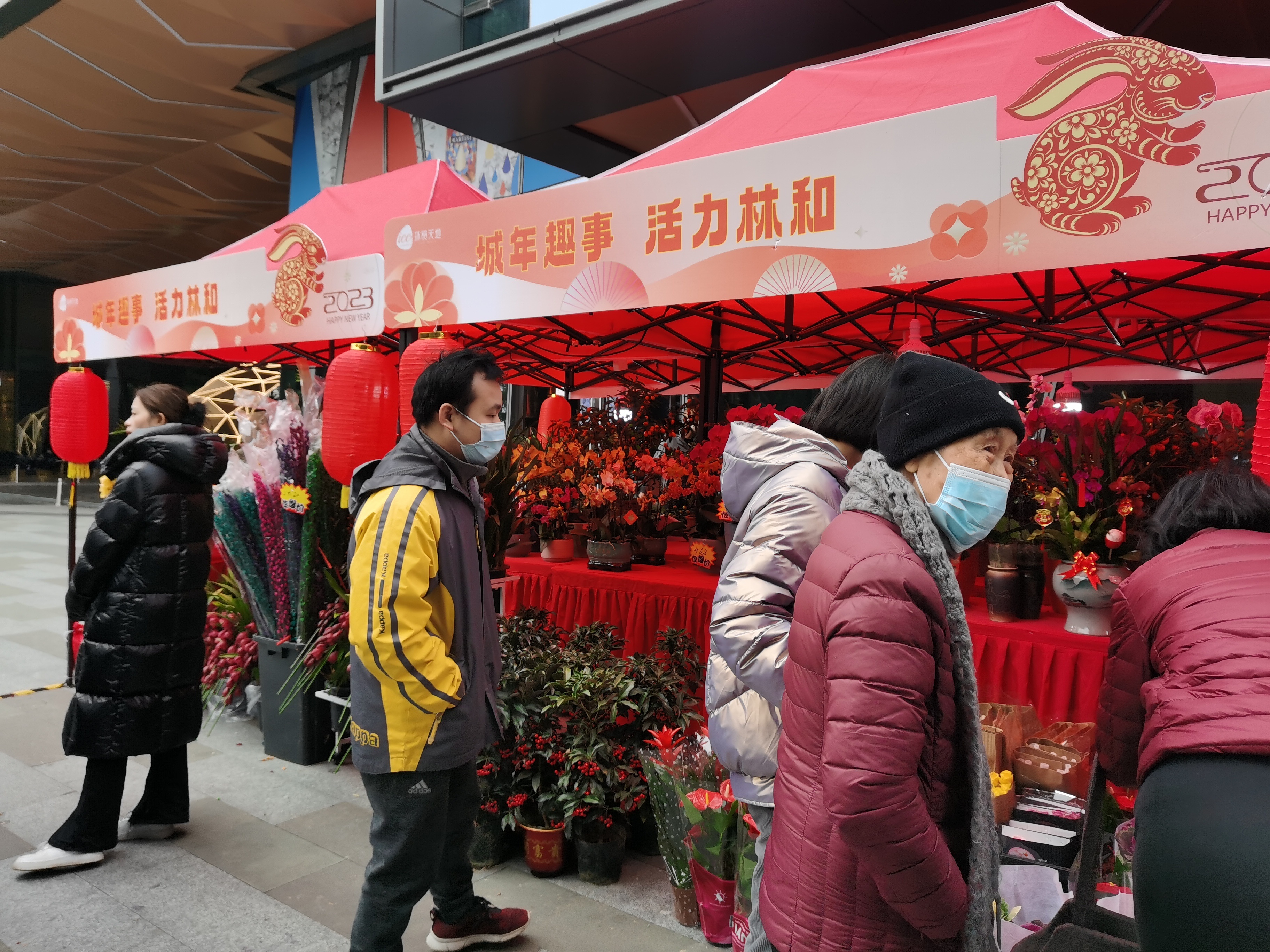 煙火氣在身邊!廣州天河各街道特色花市年味十足