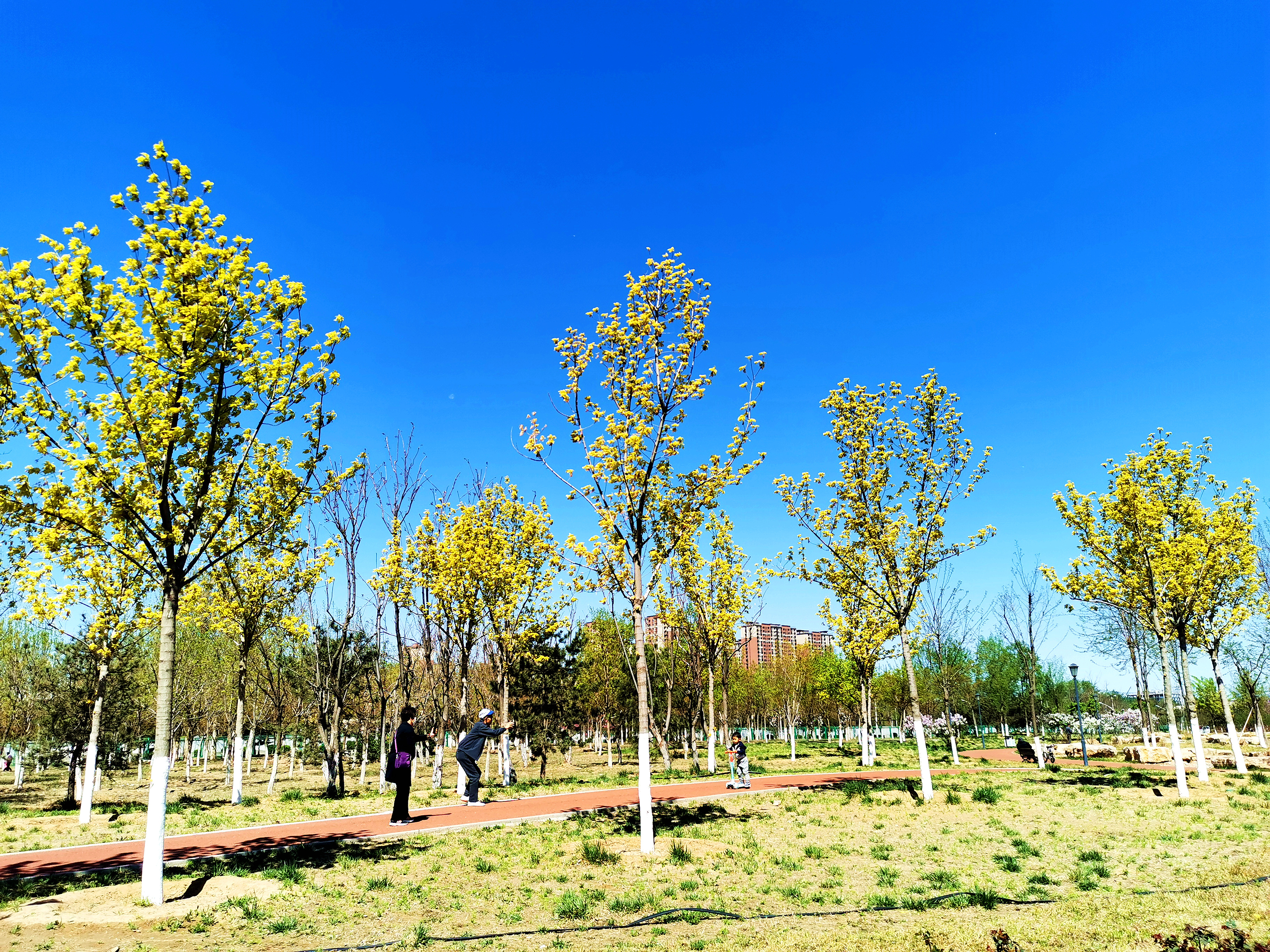 丰台百姓家门口的公园——白盆窑休闲公园