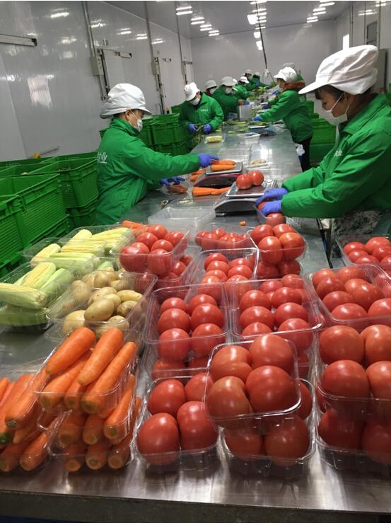 生鲜配送:自动化目标配重设备应对批量配重分拣挑战