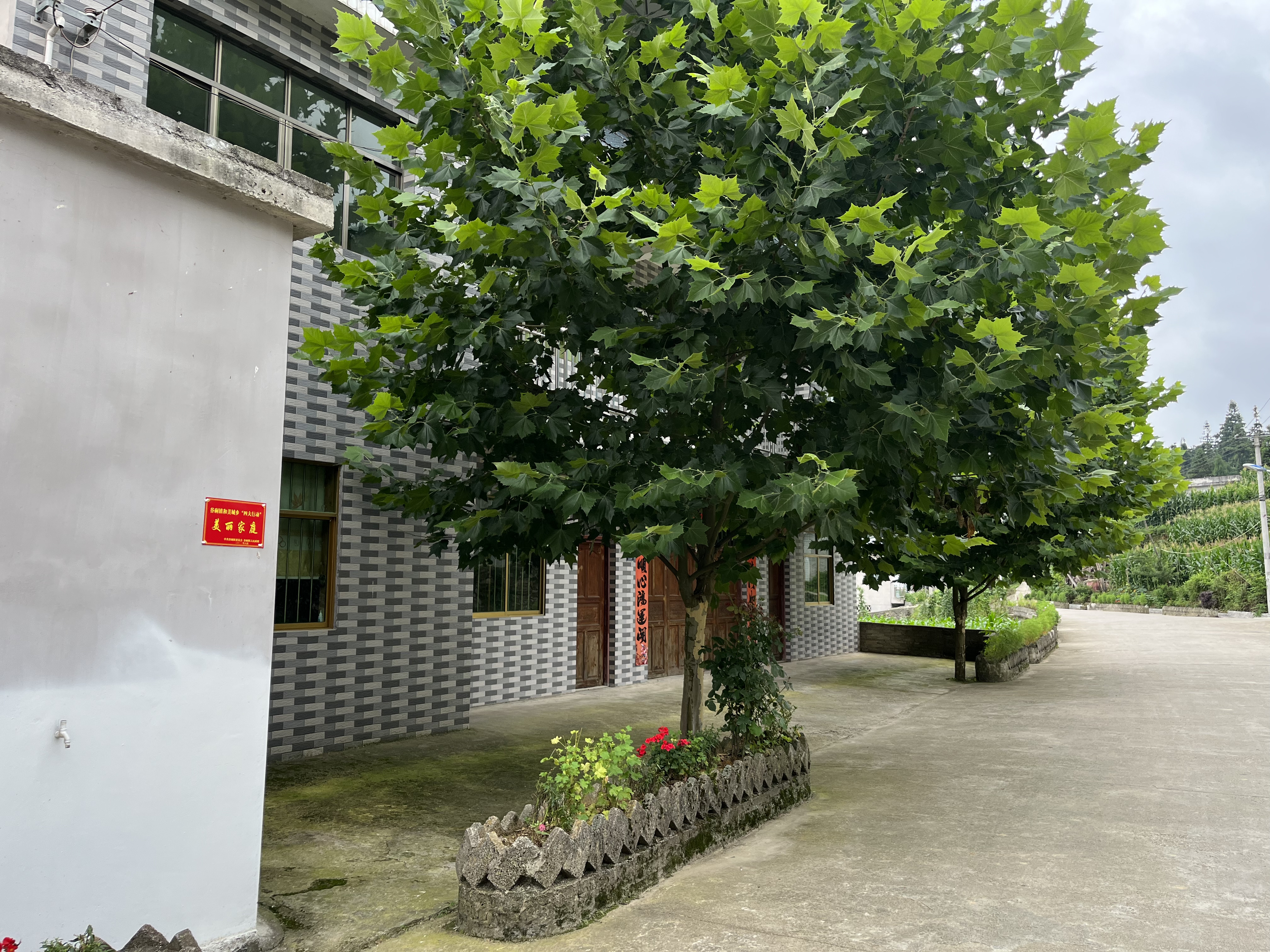 麻江县谷硐镇摆沙村:"四三二"工作机制 扎实推进和美城乡"四大行动"
