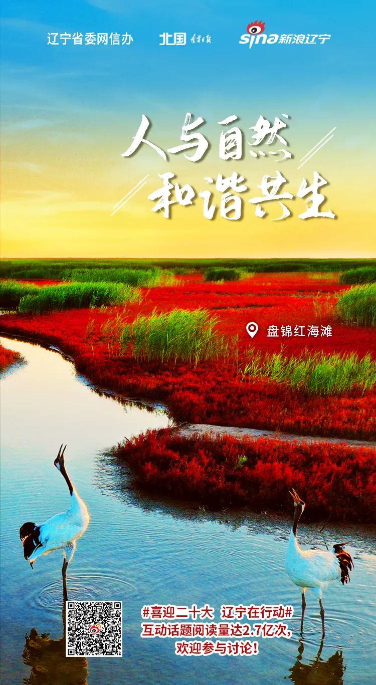 美丽辽宁公益宣传海报