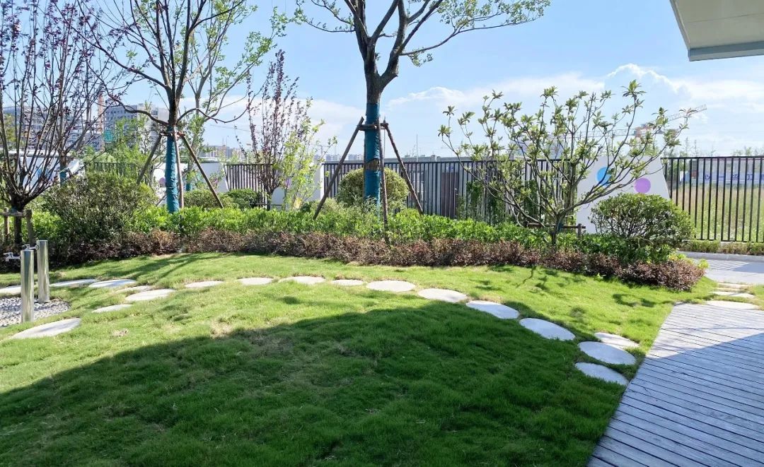 新校新貌丨青浦爱菊幼儿园长什么样?让我们一起去探秘吧