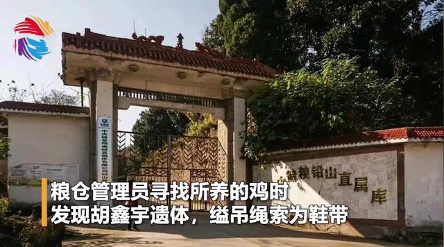 合理设置自媒体的禁区:从"马季下蛋"与胡某宇案件谈起