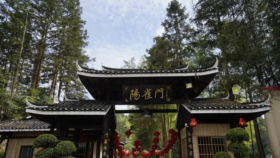 抗战古村阳雀坡景区|带你尽览12小时的慢生活