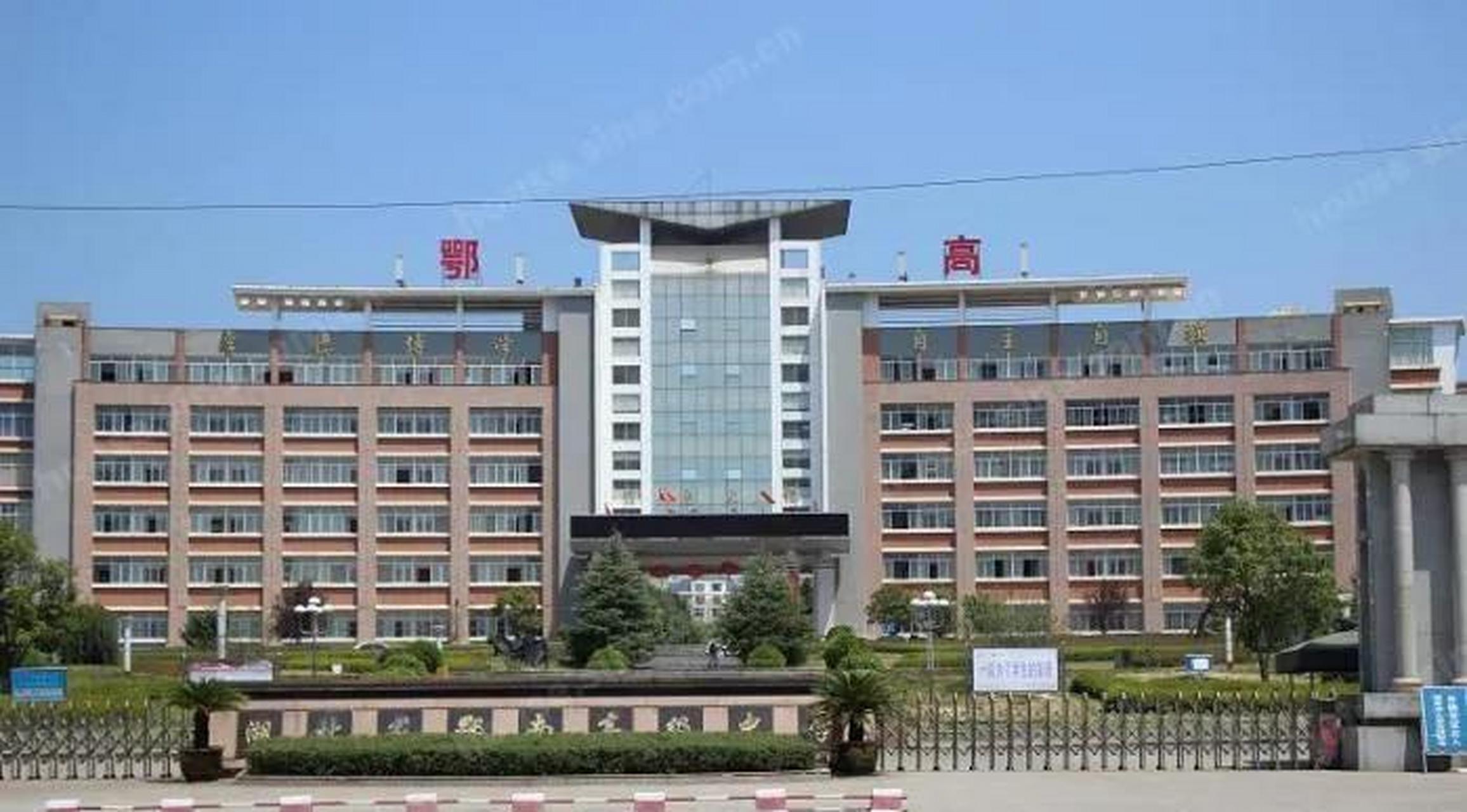 湖北省鄂南高级中学图片