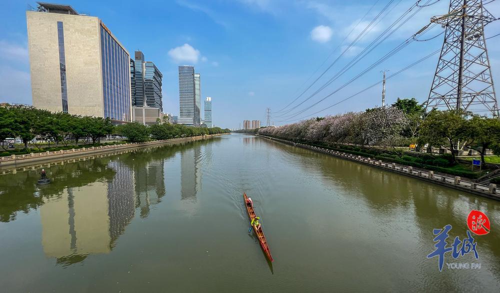广州官宣入夏!迎1961年以来"最早夏天"