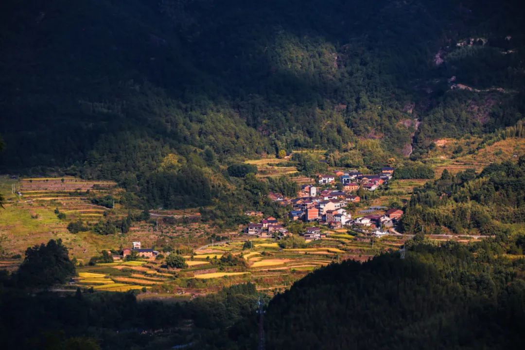 这座浙江小城为什么这么仙