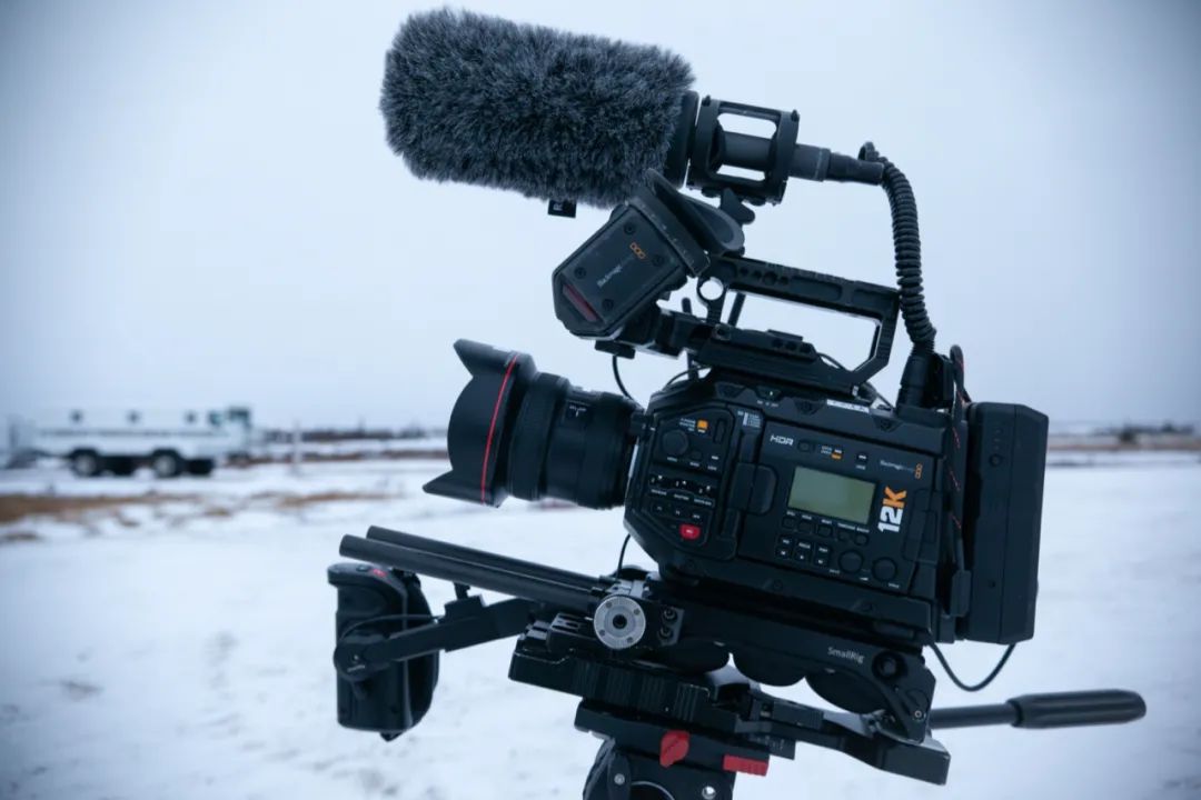 「分享」用bmd 12k摄影机在北极拍野生动物纪录片是怎样的体验?