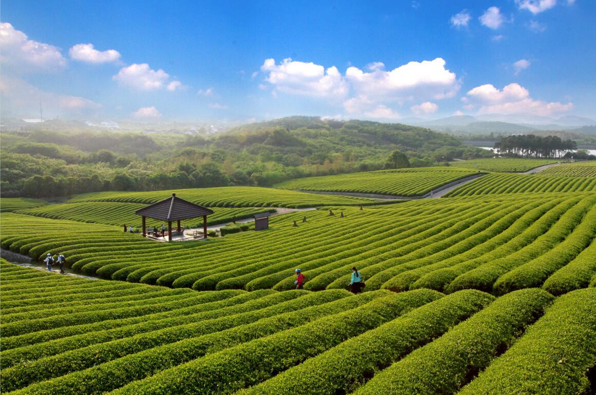 长阳龙池山风景区全景图片