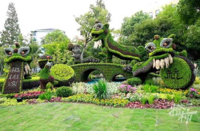 一年一次的仪式感!100多处立体花坛,景观小品,自然花境等扮靓杭州