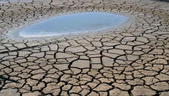 河南大旱,一水库水位下降数百米,专家赶来从中挖出6条"金龙