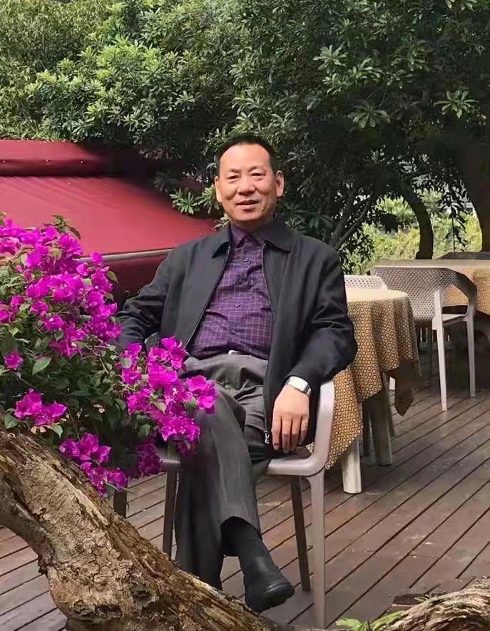 当代书画家全书——陈宏林