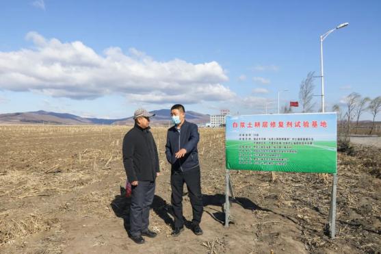 小城子镇:"硬,板,瘦"的白浆土有救啦!