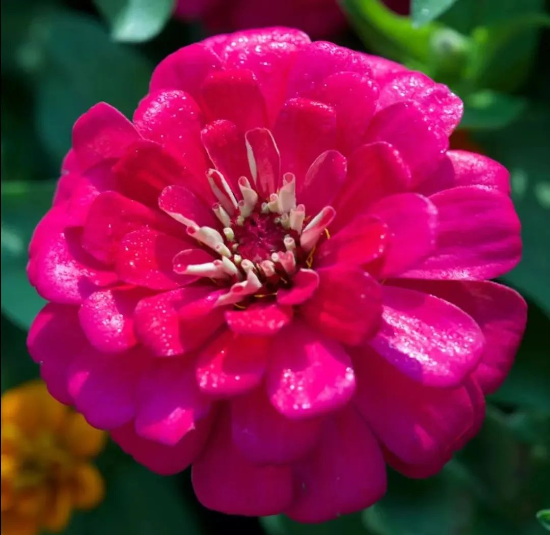 有气质的中老年人及30岁女人头像精选