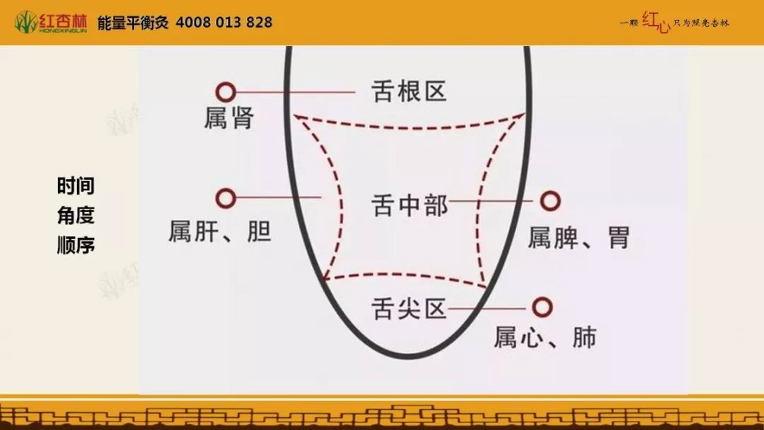 舌头是健康的预警器,一套视频学会舌诊,看病不求人!
