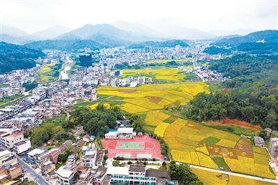 航拍鏡頭裡的梅州市豐順縣潘田鎮,猶如一幅色彩斑斕的畫卷.