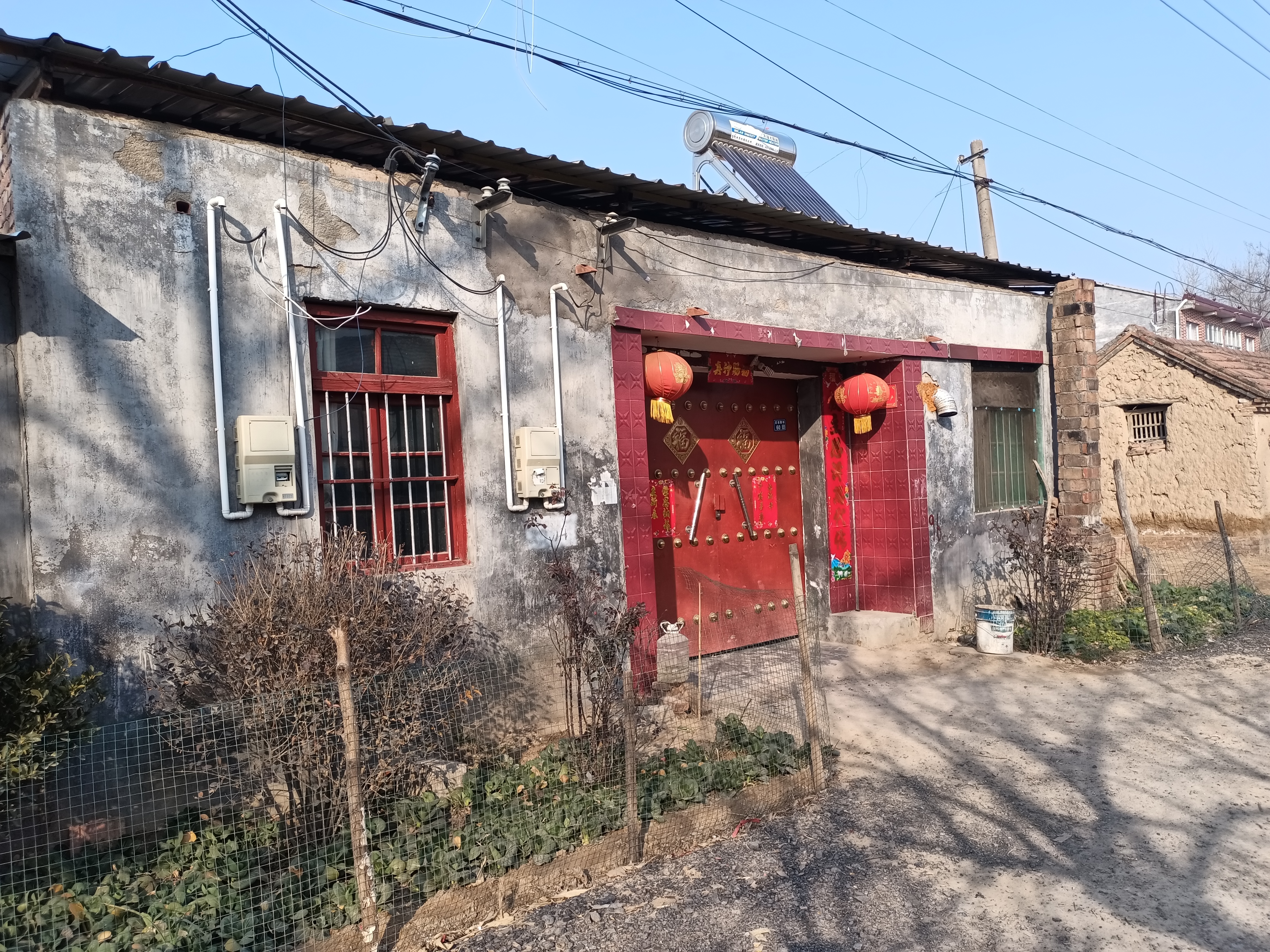 丰县王沟镇老鹳寺:一棵大树上住着一窝大老鹳