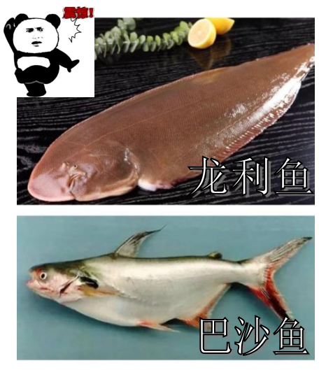 湄公鱼简介图片