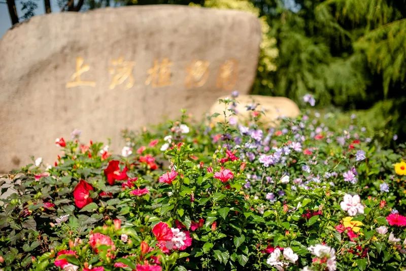 上海植物园2022年1月1日起免大门票费用实行预约入园