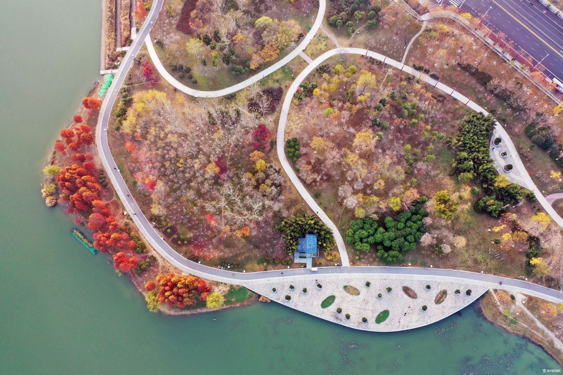 亳州:市政公园 冬景如画