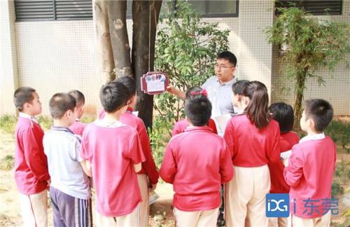 石步小学校长图片