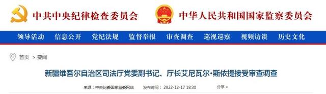 新疆司法厅厅长艾尼瓦尔·斯依提主动投案