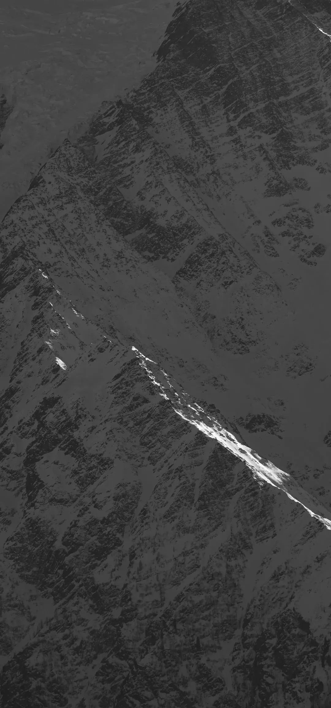 为什么今天手机屏幕都是黑白色的