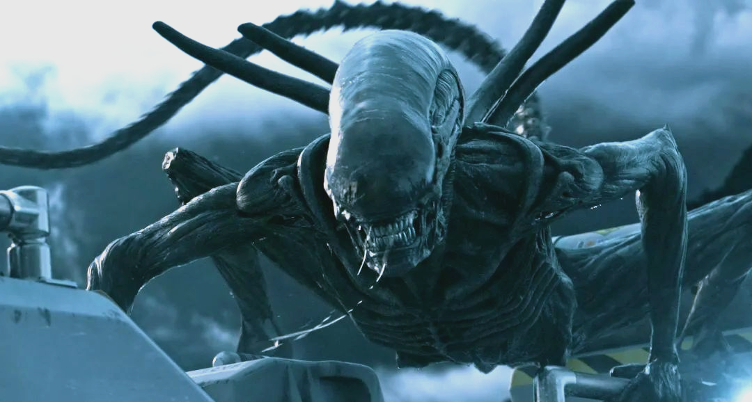 异形进化全揭秘:从执事到克隆体的惊人蜕变