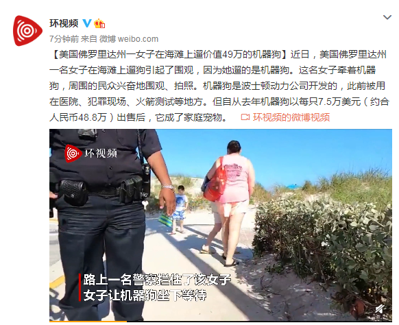 美国佛罗里达州一女子在海滩上遛价值49万的机器狗