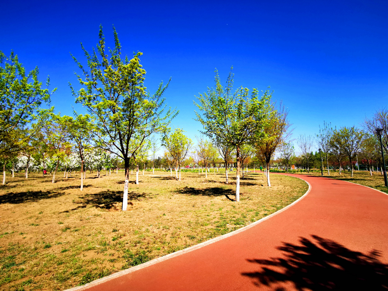 丰台百姓家门口的公园——白盆窑休闲公园