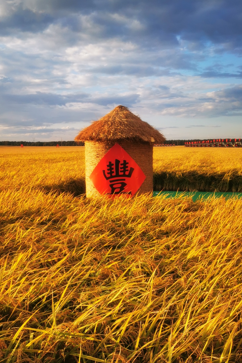粮仓好"丰"景丨又到一年收获季,金色的画面很美!