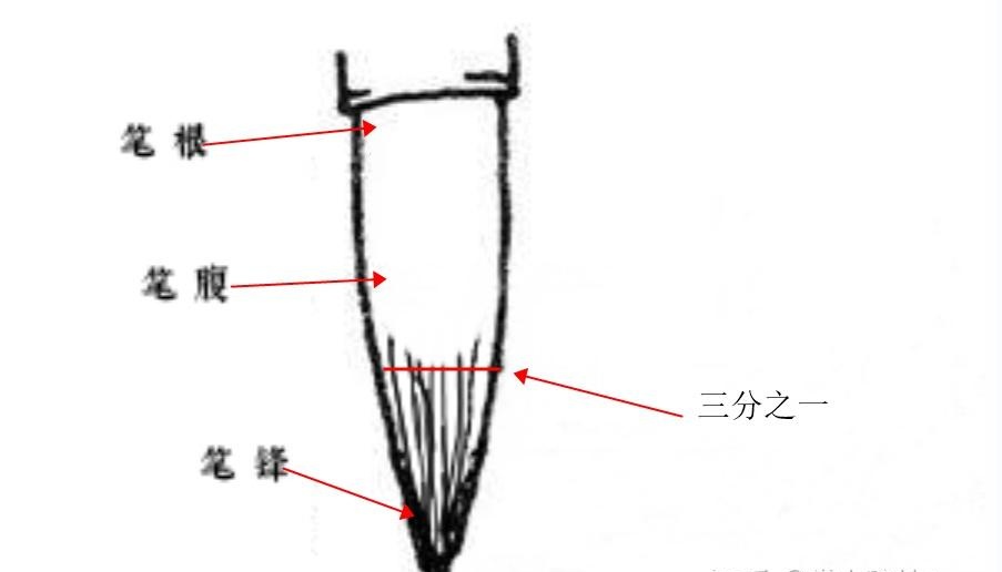 书法干货|图解中锋侧锋,别再傻傻分不清!