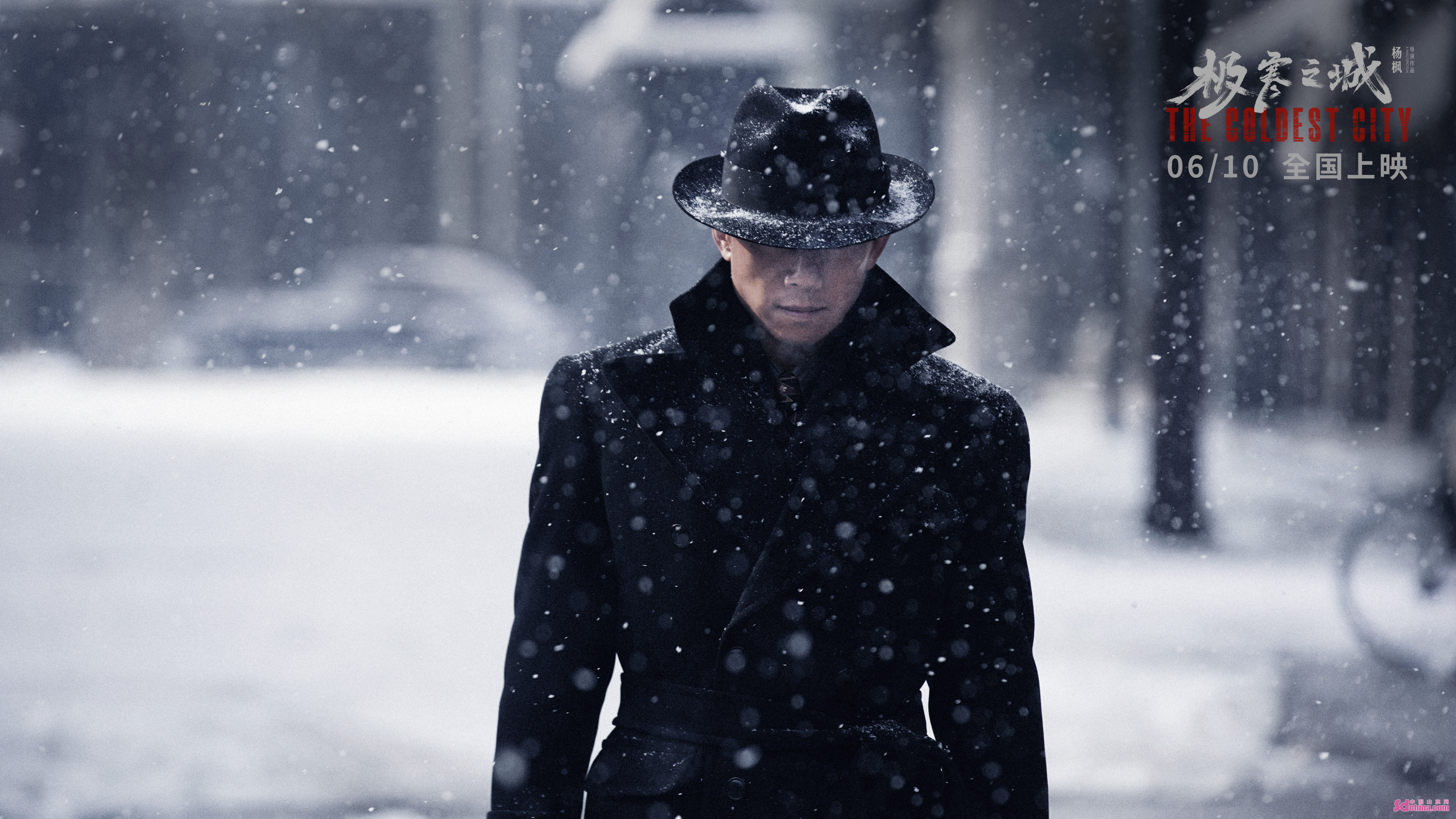 山东籍导演杨枫携作品回家!电影《极寒之城》济南站路演举行