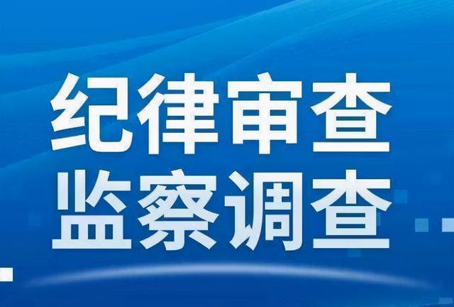 攸县人民政府办公室党组成员,副主任武志勇接受纪律审查和监察调查