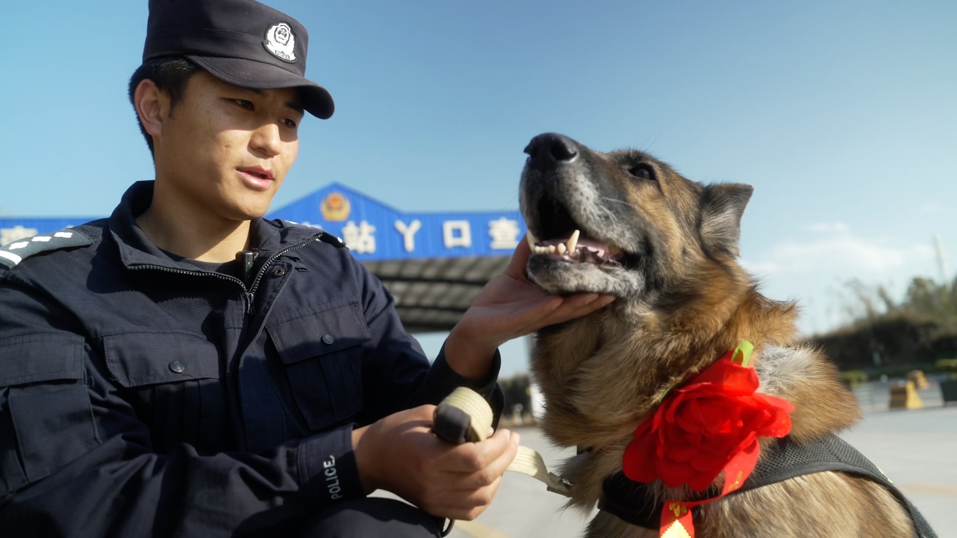 警犬龙虎光荣退役 后辈衔来大红花