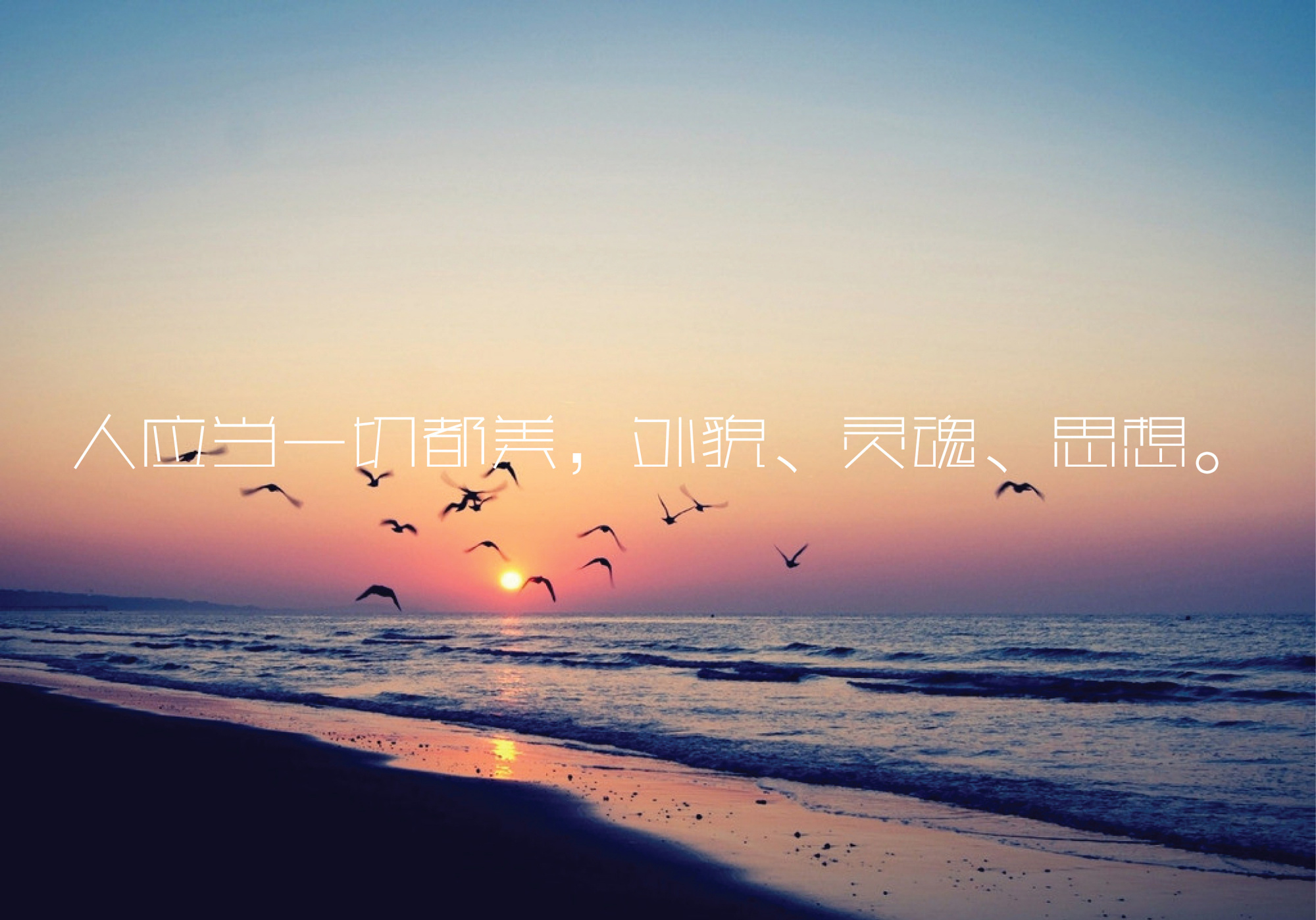 沧海桑田,作者给大家带来几本很不错的小说,可以分享给爱人