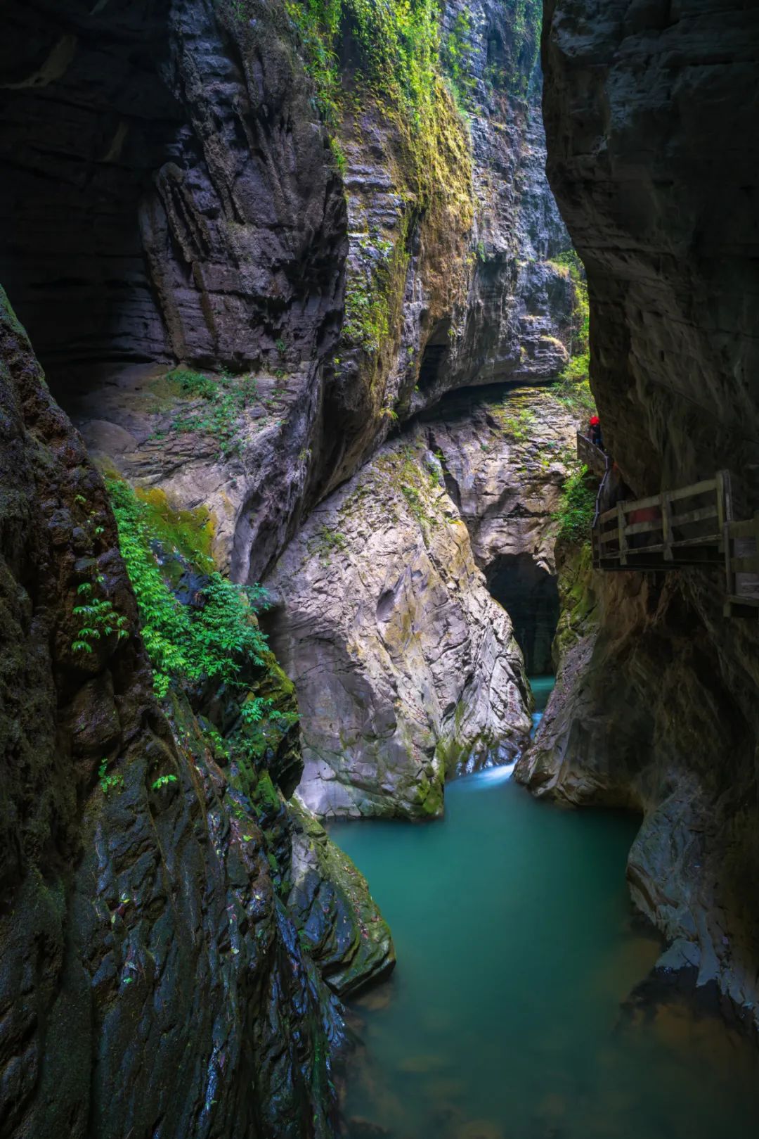 武隆龙水峡地缝说到重庆地缝,无论如何都绕不开位于武隆喀斯特世界