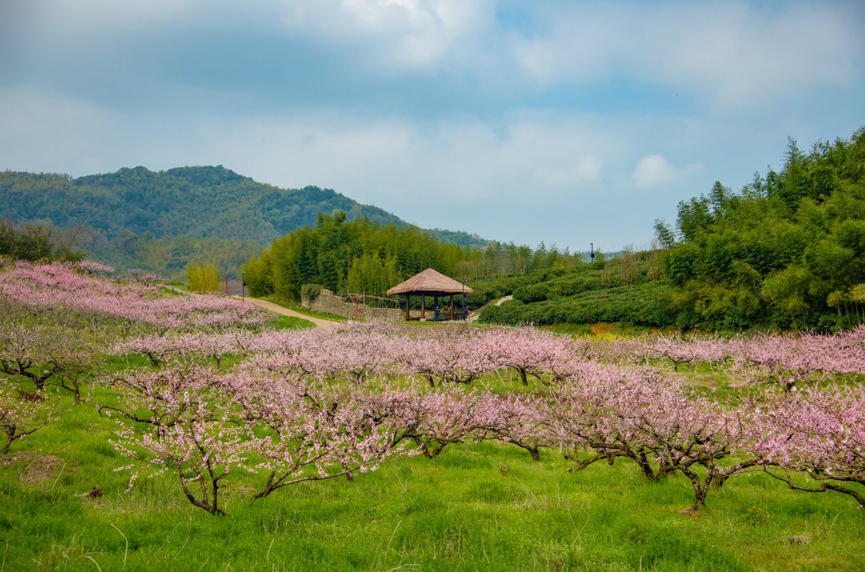 良渚瑶山遗址公园