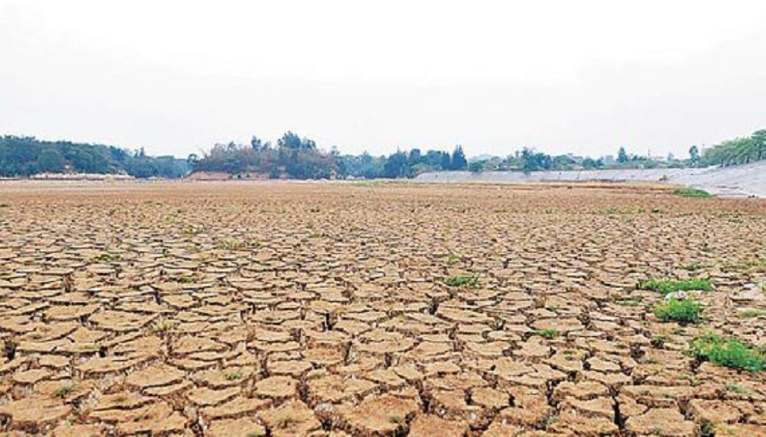 台湾遭遇56年来最大干旱,民进党当局召数千人"作法祈雨"