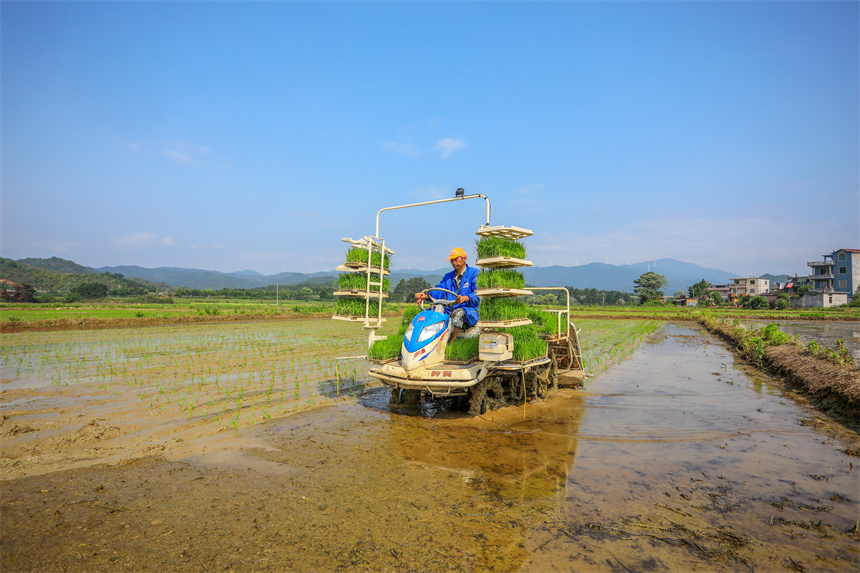 江西乐安:机械插秧助春耕