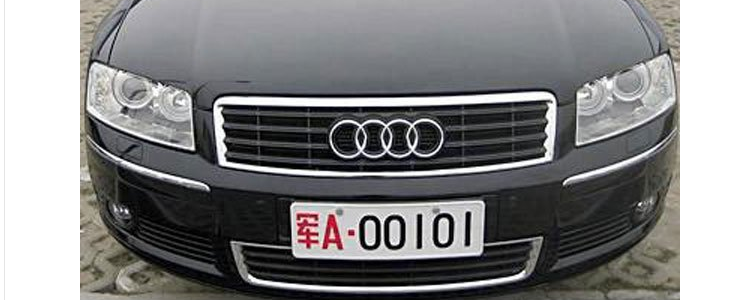 坐va牌照的是什么人