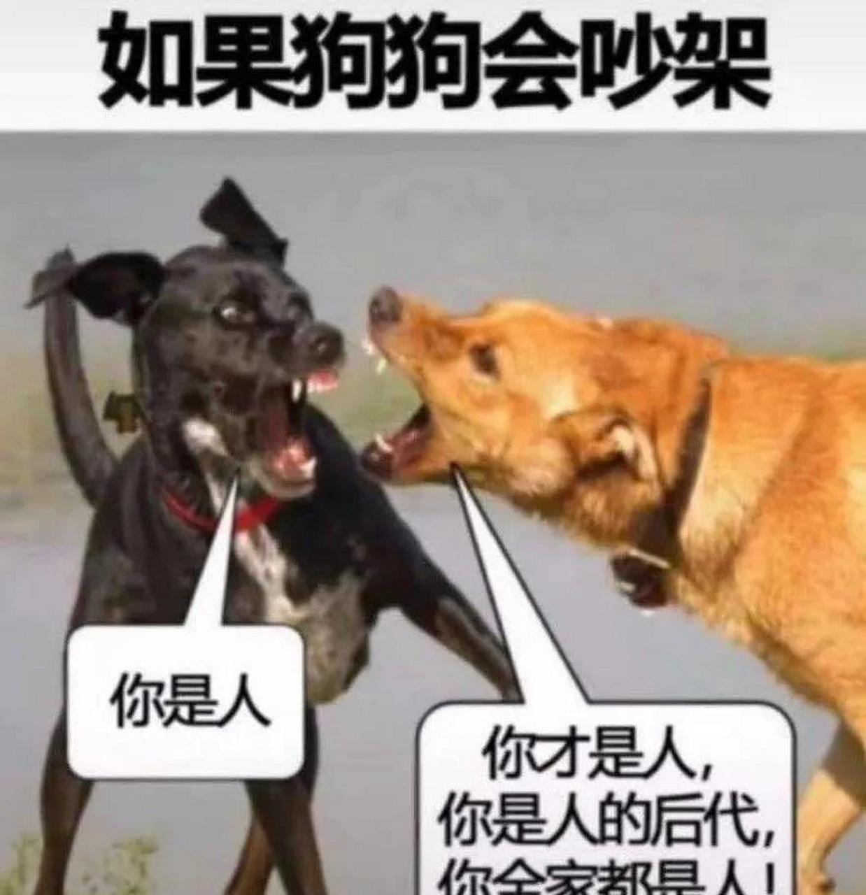 狗: