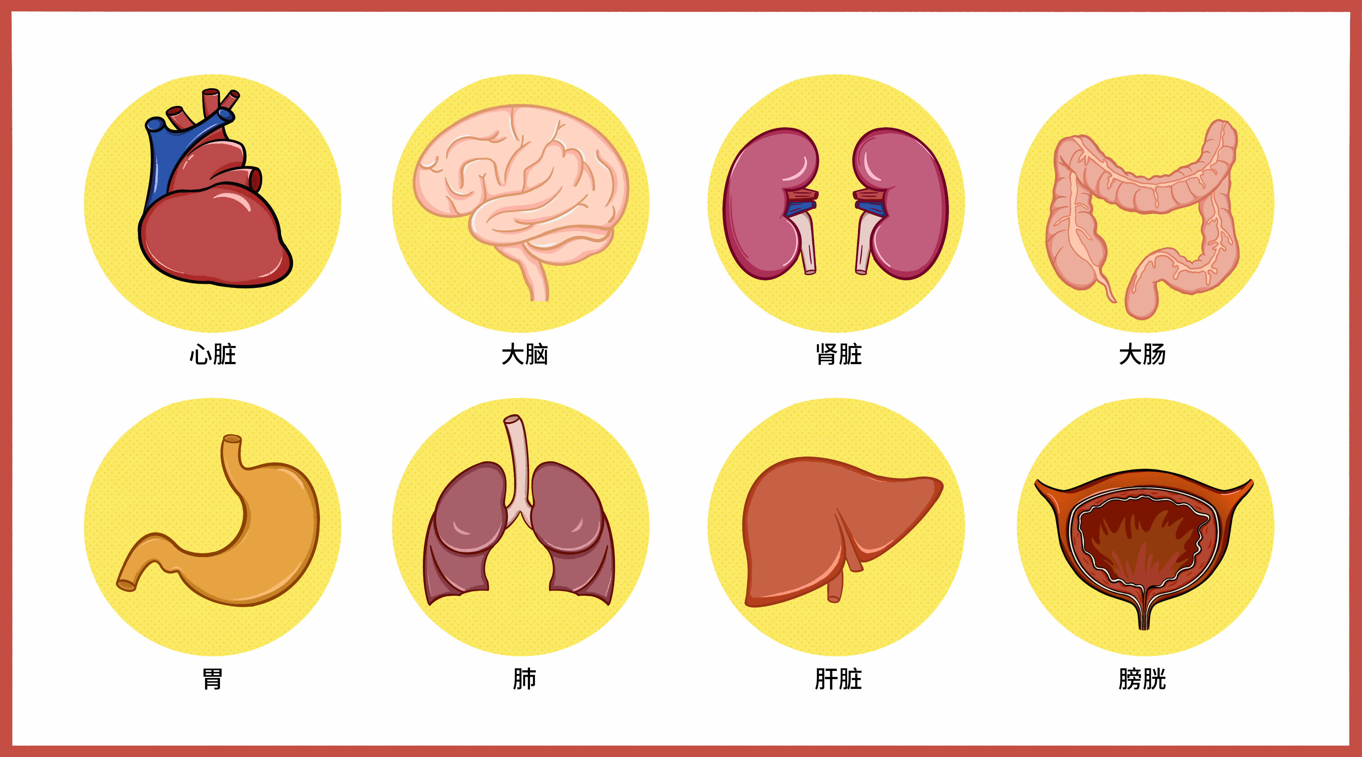 腎絕牙齒長,脾絕人中平,肺絕皮毛脫,肝絕舌捲縮