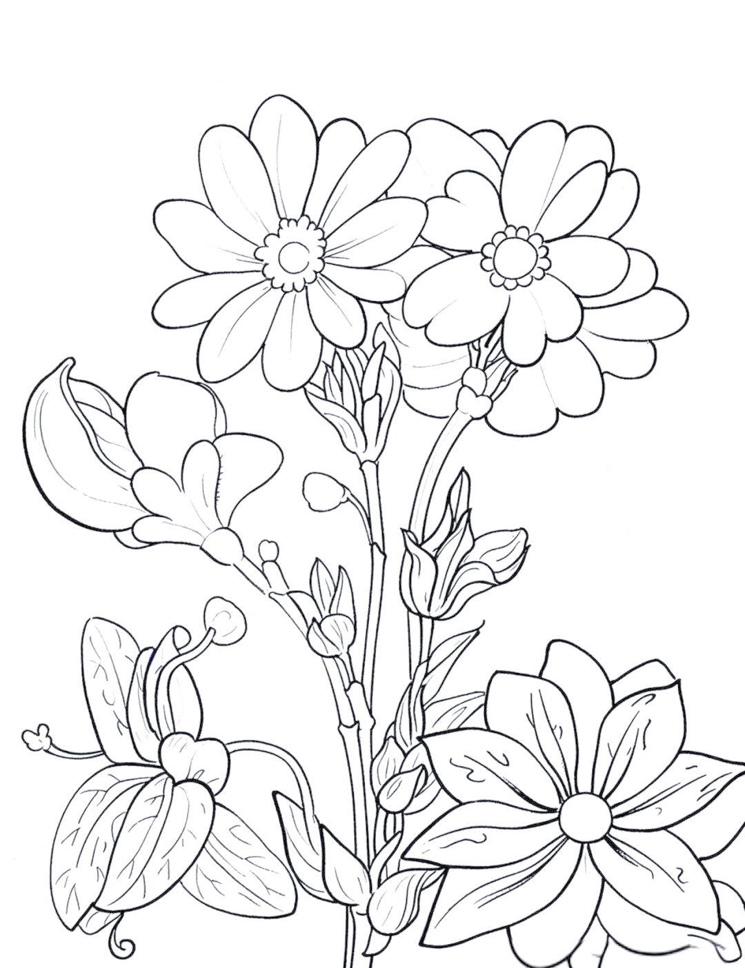 精选花卉线稿黑白简笔画线描作品及绘画技巧详解