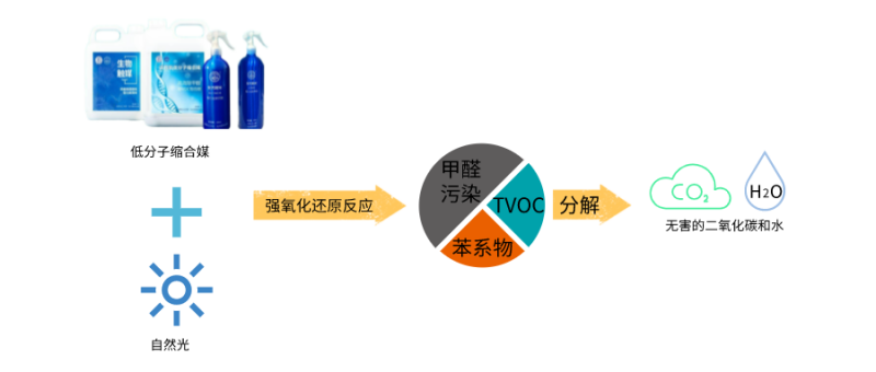 網傳甲醛最怕的三個剋星?看看它們的真實效果!